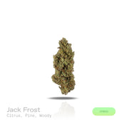 PUFFY Jack Frost is a balanced hybrid THCa strain,  born from a complex cross of Northern Lights, White Widow, and Jack Herer. The aroma opens with bright citrus notes, layered with fresh pine and grounded by warm, woody undertones. Visually, the buds are dense, with rich green and purple hues, bright orange pistils, and a frosty layer of trichomes. Consumers often report a happy, euphoric, and uplifting experience that promotes focus, energy, creativity, and balanced relaxation, making it well suited for d