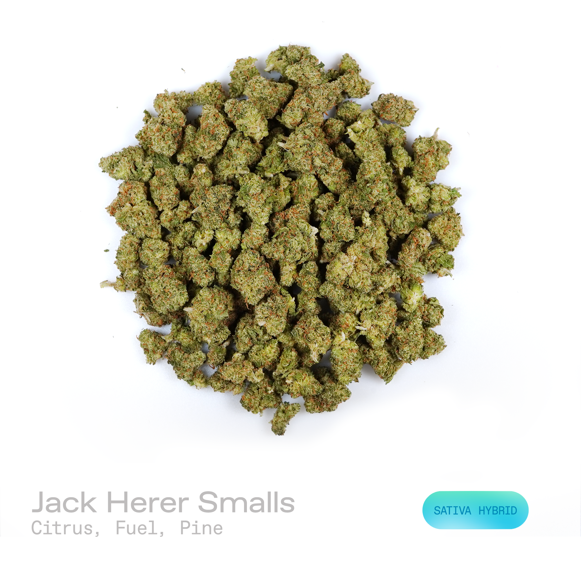 PUFFY Jack Herer (smalls) is a sativa-dominant hybrid THCa strain, bred from a legendary three‑way genetic cross of Northern Lights #5, Shiva Skunk, and Haze. The aroma is characterized by vibrant citrus and pungent fuel notes, complemented by a crisp pine finish. Visually, dense green buds with purple hues and fiery orange pistils are coated in sticky trichomes. Consumers often report euphoric, energetic, focused, and uplifting sensations, along with potential relief from stress and anxiety and a noticeabl