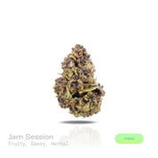 PUFFY Jam Session is a balanced hybrid THCa strain, expertly crafted from the flavorful blend of Apple Fritter and Orange Tree. The aroma is a vibrant blend of fruity sweetness, pungent gassy undertones, and fresh herbal notes. Visually, dense light green buds with purple hues and fiery orange pistils are coated in sticky trichomes. Consumers often report a euphoric and uplifting experience that sparks creativity and energy while maintaining a balanced, calming mental vibe.