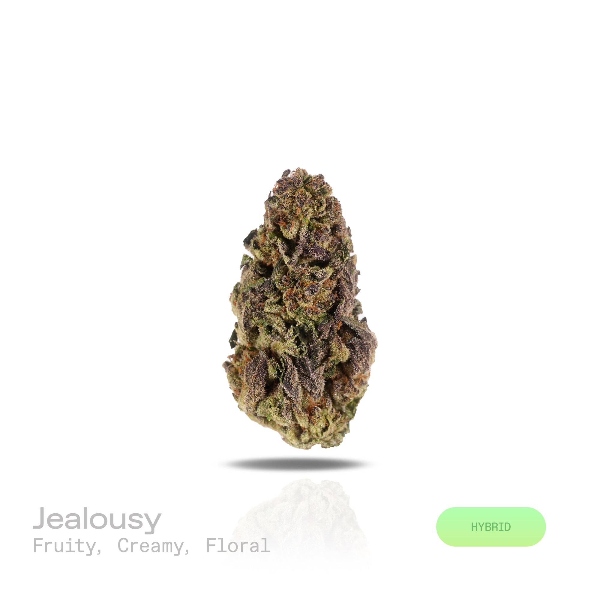 PUFFY Jealousy is a balanced hybrid THCa strain, expertly crafted from a potent cross between Sherbet Bx1 and Gelato 41. The aroma is a delightful blend of sweet, fruity notes, smooth creamy undertones, and delicate floral hints that captivate the senses. Visually striking, the dense buds display dark purple hues, vivid greens, and fiery orange pistils, all dusted with frosty trichomes. Consumers often note a balanced experience that eases stress and lifts the mood while blending mental relaxation with ener