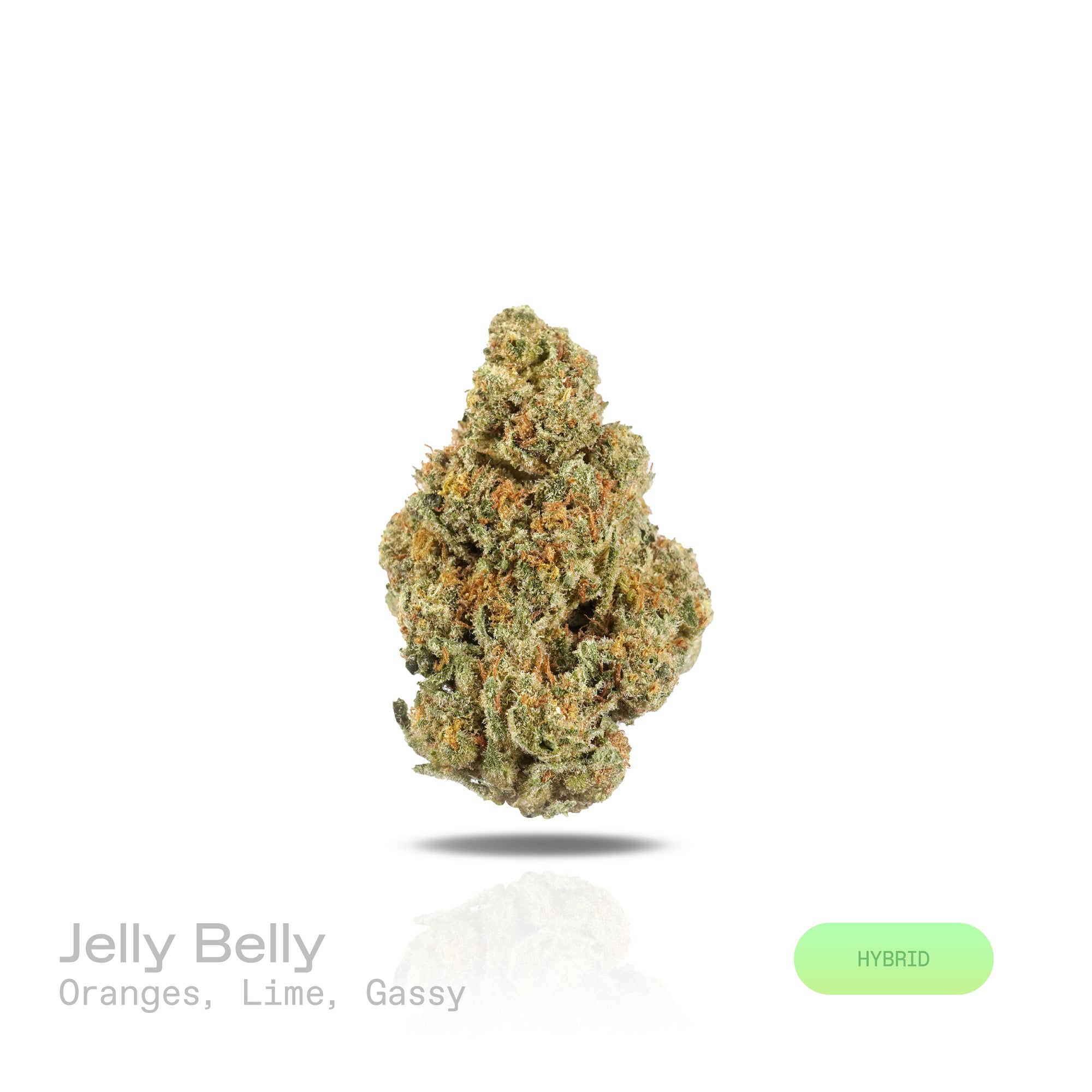 PUFFY Jelly Belly is a balanced hybrid THCa strain crafted through the refined union of Mendo Breath and Do-Si-Dos. The aroma opens with zesty notes of fresh oranges and tangy lime, layered over a distinct, gassy undertone that lingers enticingly. Visually, dense green buds with purple hues and fiery orange pistils are coated in sticky trichomes. Consumers often report an elevated, joyful mindset paired with gentle bursts of creativity or sociability and a relaxed, contented body.