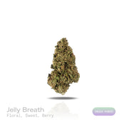 PUFFY Jelly Breath is an indica-dominant hybrid THCa strain, created from the legendary pairing of Mendo Breath and Do‑Si‑Dos. The aroma is a delightful blend of floral notes, sweet undertones, and rich, juicy berries, creating a fragrant and inviting scent that is both fresh and captivating. Visually, the buds are dense and vibrant green, accentuated by deep purple hues and bright orange pistils, all generously coated in a frosty layer of thick trichomes. Consumers often report a deeply calming experience 