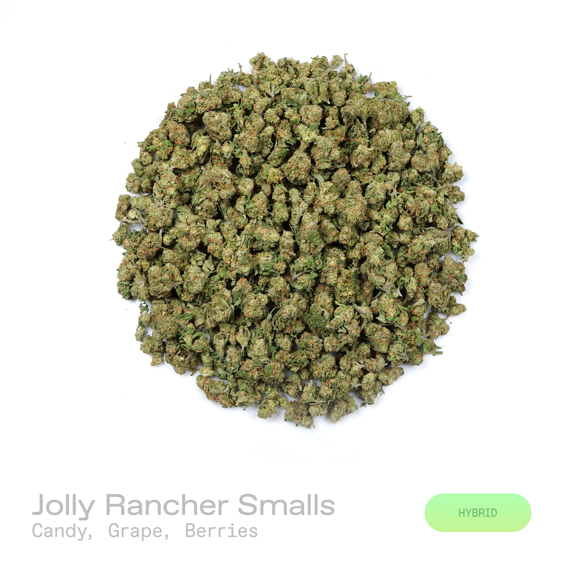 PUFFY Jolly Rancher (smalls) is a balanced hybrid THCa strain resulting from the strategic pairing of Purple Punch and Aloha Grape Stomper. The aroma bursts with sweet candy-like notes layered over ripe grape and juicy berry undertones. Visually, dense forest green buds with purple hues and fiery orange pistils are coated in sticky trichomes. Consumers often report an uplifting euphoric mood boost paired with heightened mental clarity and inspired thinking, along with a relaxing body sensation and sociable,