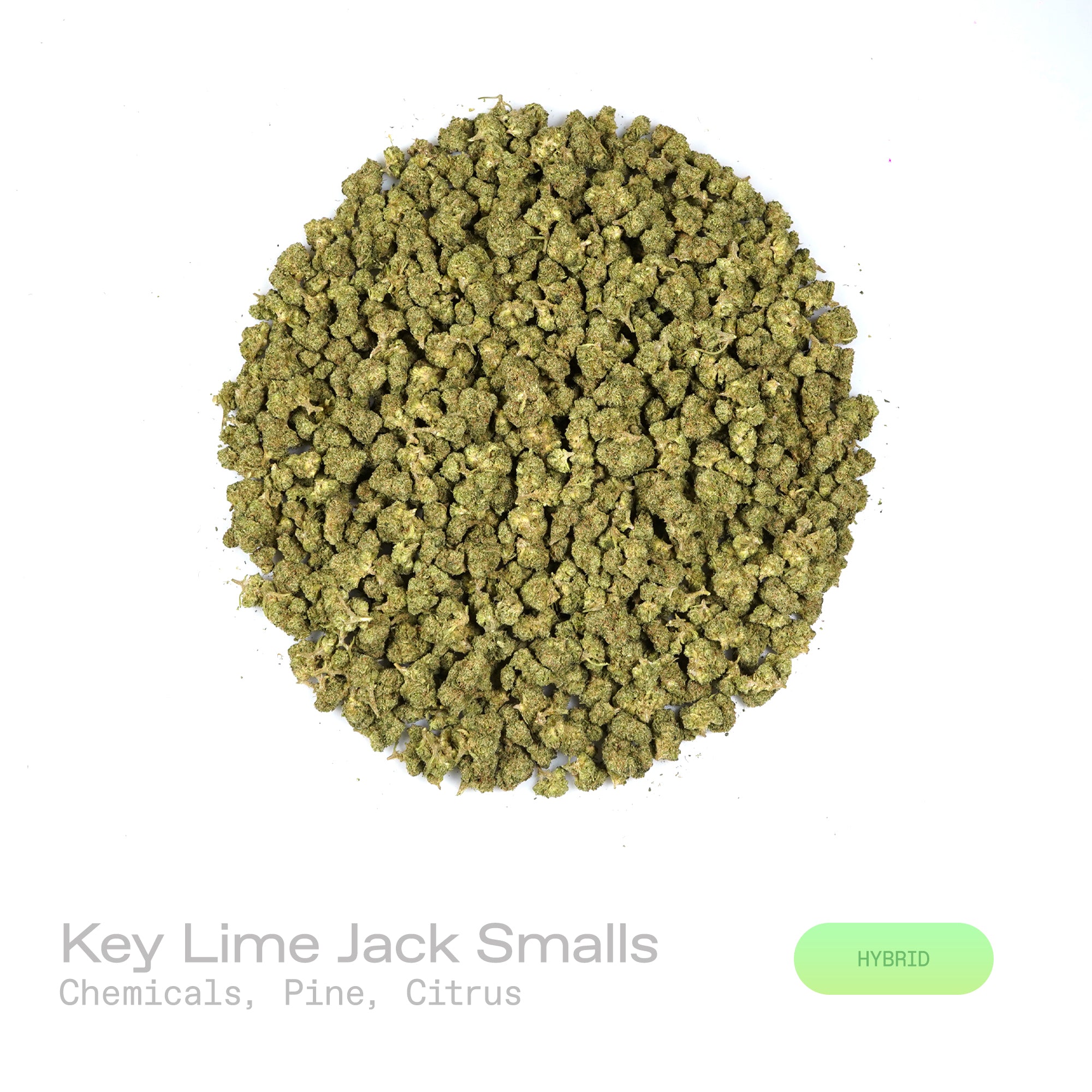 PUFFY Key Lime Jack (smalls) is a balanced hybrid THCa strain derived from the skillfully blended cross of Bling Cheesecake and Jack Herer. The aroma unfolds with distinct chemical undertones layered over crisp pine freshness and bright citrus zest. Visually, dense forest green buds with purple hues and fiery orange pistils are coated in sticky trichomes. Consumers often report feeling euphoric, uplifted, and focused, accompanied by a clear-headed sense of relaxation that keeps the mind sharp and the body a