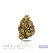 PUFFY Khalifa Kush also known as “Wiz Khalifa” is a legendary hybrid THCa strain originally crafted exclusively for the iconic rapper Wiz Khalifa himself. It is widely regarded as a select phenotype or descendant of OG Kush, often described as an exclusive, highly refined cut of OG Kush–type genetics. The aroma is a bold fusion of kushy earthiness layered with sharp onion-like funk and an intensely pungent, savory edge. Visually, dense green buds with purple hues and fiery orange pistils are coated in stick