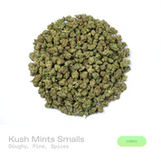 PUFFY Kush Mints (smalls) is a balanced hybrid THCa strain meticulously crafted through the expert crossbreeding of Animal Mints and Bubba Kush. TThe aroma opens with a rich doughy sweetness layered with fresh pine and warm spice notes. Visually, the buds are dense, with deep green and purple hues, bright orange pistils, and a sparkling coating of trichomes. Consumers often report euphoric effects paired with deep relaxation and body calm, enhanced mental clarity, often accompanied by feelings of contentmen