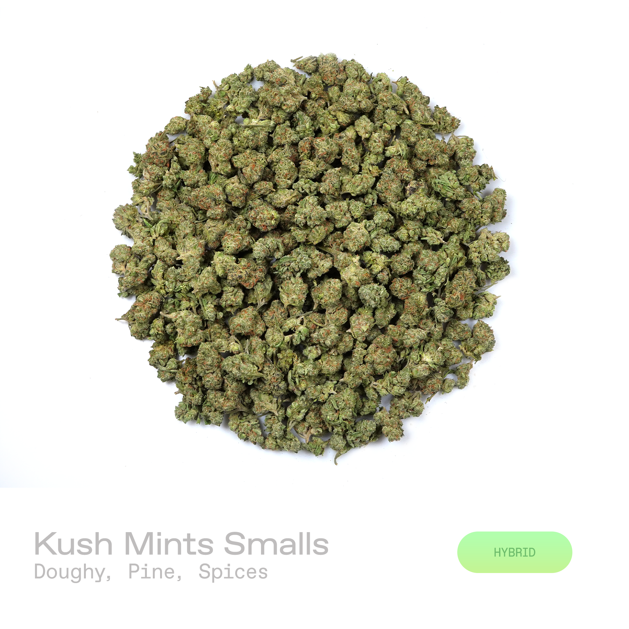 PUFFY Kush Mints (smalls) is a balanced hybrid THCa strain meticulously crafted through the expert crossbreeding of Animal Mints and Bubba Kush. TThe aroma opens with a rich doughy sweetness layered with fresh pine and warm spice notes. Visually, the buds are dense, with deep green and purple hues, bright orange pistils, and a sparkling coating of trichomes. Consumers often report euphoric effects paired with deep relaxation and body calm, enhanced mental clarity, often accompanied by feelings of contentmen