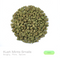 Kush Mints THCa Flower (Indoor) (Hybrid)