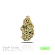 PUFFY Kush Mints is a balanced hybrid THCa strain meticulously crafted through the expert crossbreeding of Animal Mints and Bubba Kush. The aroma is a distinctive fusion of sharp onion zest, mellow sweetness, and a refreshing minty coolness. Visually, the buds are dense, with deep green and purple hues, bright orange pistils, and a sparkling coating of trichomes. Consumers often report euphoric effects paired with deep relaxation and body calm, enhanced mental clarity, often accompanied by feelings of conte