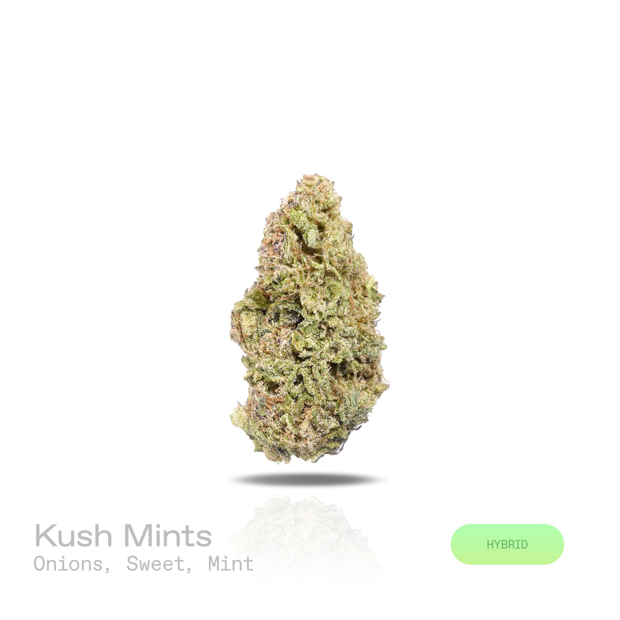 PUFFY Kush Mints is a balanced hybrid THCa strain meticulously crafted through the expert crossbreeding of Animal Mints and Bubba Kush. The aroma is a distinctive fusion of sharp onion zest, mellow sweetness, and a refreshing minty coolness. Visually, the buds are dense, with deep green and purple hues, bright orange pistils, and a sparkling coating of trichomes. Consumers often report euphoric effects paired with deep relaxation and body calm, enhanced mental clarity, often accompanied by feelings of conte