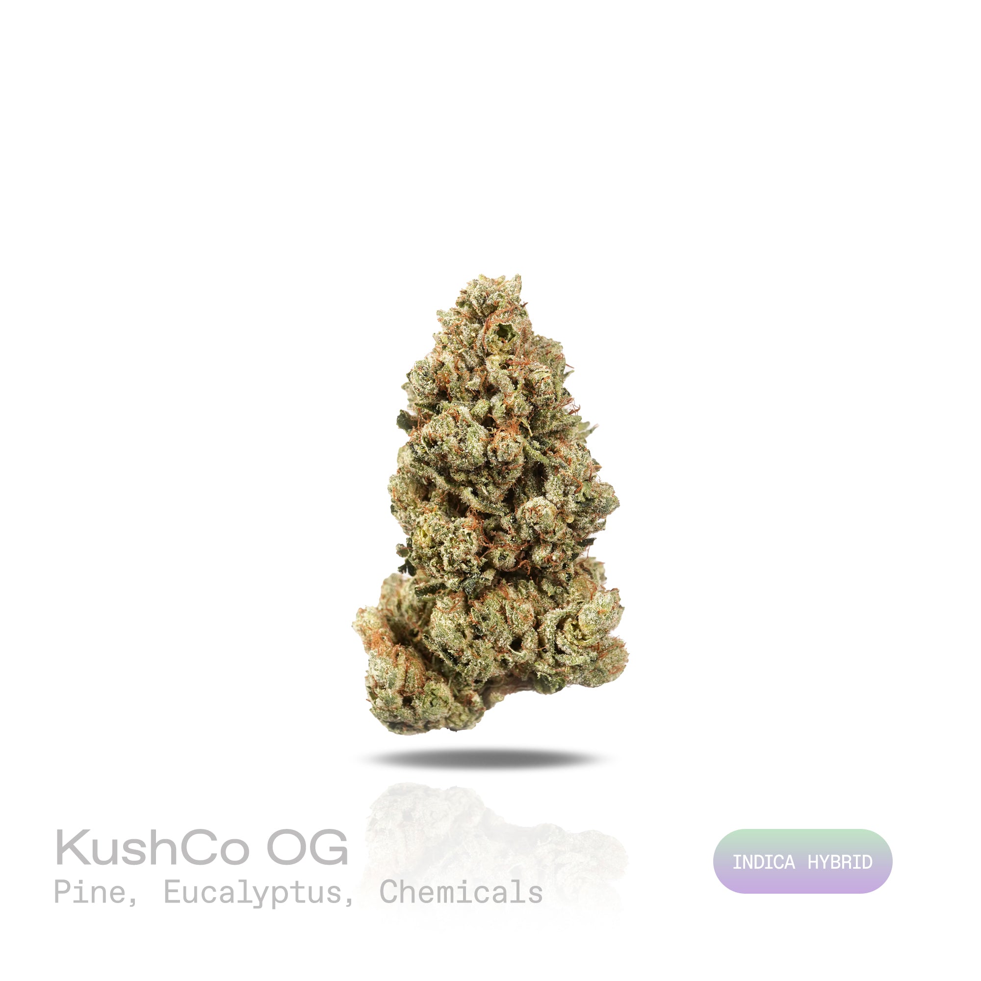 PUFFY KushCo OG is an indica-dominant hybrid THCa strain, crafted from authentic OG Kush genetics, preserving its renowned profile. The aroma opens with crisp notes of pine and refreshing eucalyptus, layered with a sharp, chemical undertone that adds a bold and pungent edge. Visually, dense green buds with purple hues and fiery orange pistils are coated in sticky trichomes. Consumers often report an initial surge of euphoria, accompanied by heightened energy, focus, sociability, and a soothing body-buzz or 
