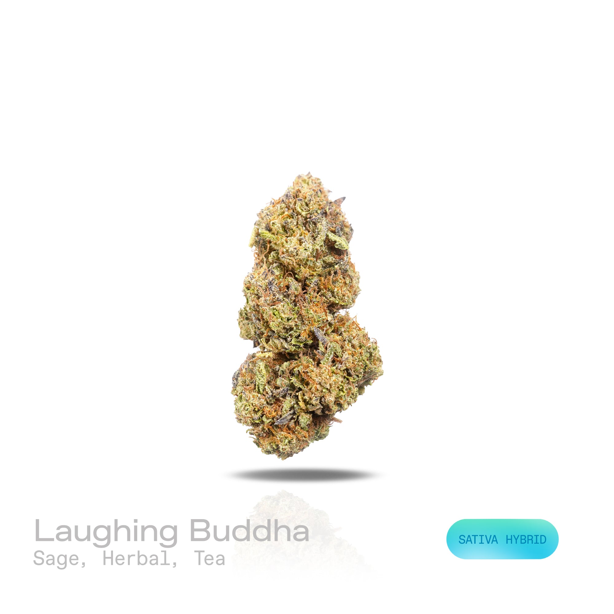 PUFFY Laughing Buddha is a sativa-dominant hybrid THCa strain derived from the storied genetics of Thai and Jamaican lineage. The aroma opens with a refined note of sage, followed by a rich herbal character and a calming tea-like finish. Visually, dense forest green buds with purple hues and fiery orange pistils are coated in sticky trichomes. Consumers often report a euphoric, energetic and uplifting experience accompanied by enhanced creativity and an inspired mental clarity. 