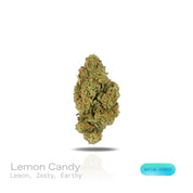 PUFFY Lemon Candy is a sativa-dominant hybrid THCa strain, crafted from the legendary lineage of American indica with NYC Diesel. The aroma is a vibrant blend of zesty lemon with grounding earthy undertones, creating a refreshing and invigorating scent. Visually striking, these dense, frosty buds glisten with trichomes, displaying deep greens with hints of lime and purple, accented by vibrant orange pistils. Consumers often report an initial wave of uplifting euphoria that elevates the spirit and energizes 