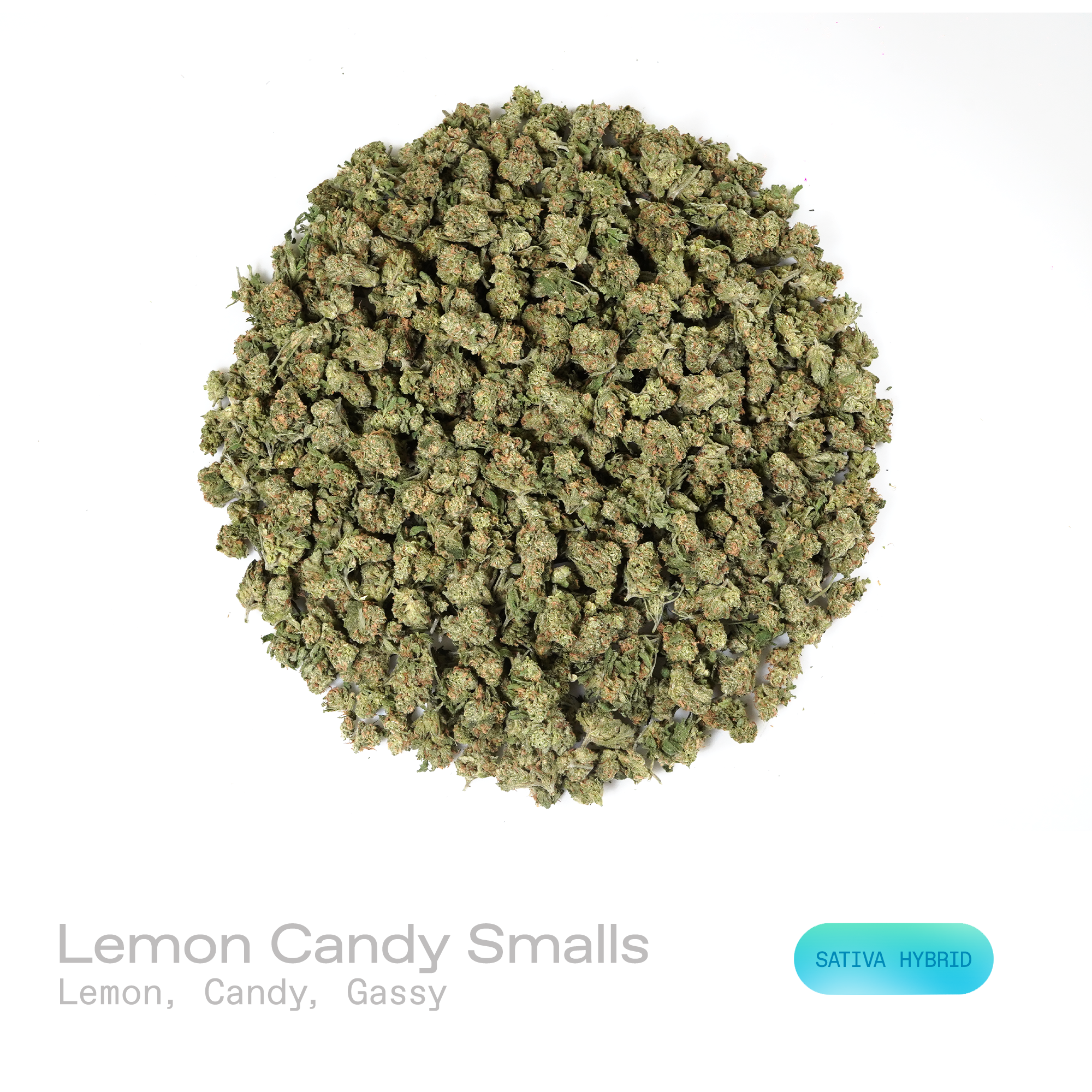 PUFFY Lemon Candy (smalls) is a sativa-dominant hybrid THCa strain crafted from the legendary lineage of American indica with NYC Diesel. The aroma opens with bright lemon zest and sweet candy-like notes, layered over a sharp, gassy undertone. Visually, dense forest green buds with purple hues and fiery orange pistils are coated in sticky trichomes. Consumers often report an initial wave of uplifting euphoria that energizes the mind, followed by a smooth, soothing body calm that relaxes muscles, melts away 