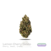 PUFFY Lemon Cherry Gelato is an indica-dominant  hybrid THCa strain, expertly crafted from a potent cross between Sunset Sherbet and Girl Scout Cookies. The aroma is a delightful blend of cherry, sweet, and creamy notes, creating an inviting and luscious scent that instantly captivates the senses. Visually, buds are dense and frosty, featuring deep green and purple hues with bright orange pistils and a thick coating of sparkling trichomes. Consumers often report an initial wave of uplifted, happy euphoria, 