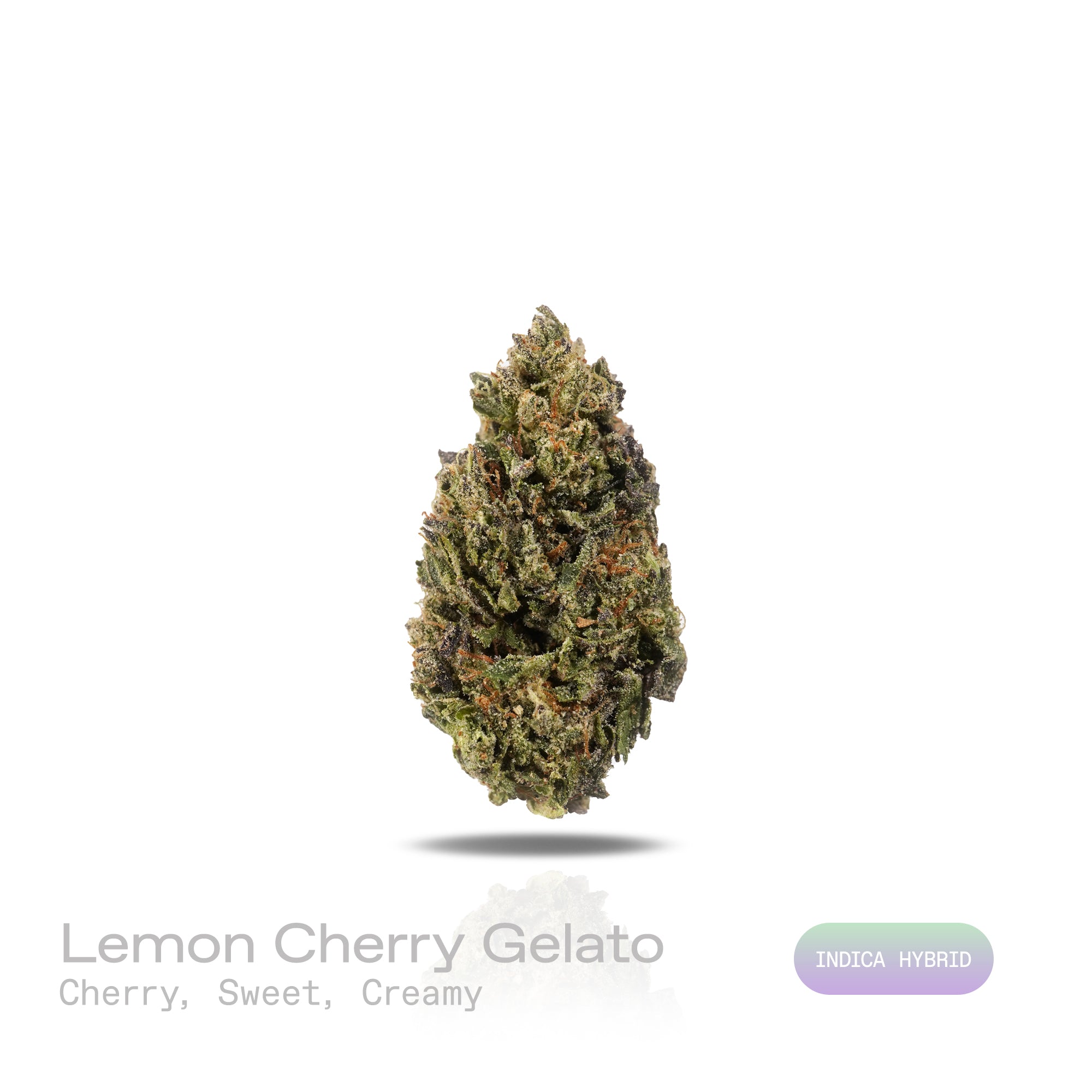 PUFFY Lemon Cherry Gelato is an indica-dominant  hybrid THCa strain, expertly crafted from a potent cross between Sunset Sherbet and Girl Scout Cookies. The aroma is a delightful blend of cherry, sweet, and creamy notes, creating an inviting and luscious scent that instantly captivates the senses. Visually, buds are dense and frosty, featuring deep green and purple hues with bright orange pistils and a thick coating of sparkling trichomes. Consumers often report an initial wave of uplifted, happy euphoria, 