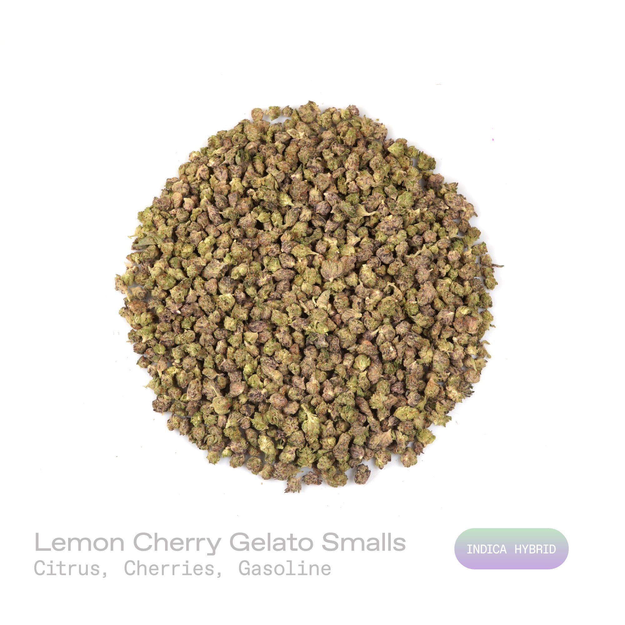 PUFFY Lemon Cherry Gelato (smalls) is an indica-dominant  hybrid THCa strain, expertly crafted from a potent cross between Sunset Sherbet and Girl Scout Cookies. The aroma is a vibrant blend of zesty citrus, sweet cherries, and a sharp, lingering hint of gasoline, creating a bold and unmistakably pungent profile. Visually, buds are dense and frosty, featuring deep green and purple hues with bright orange pistils and a thick coating of sparkling trichomes. Consumers often report an initial wave of uplifted, 