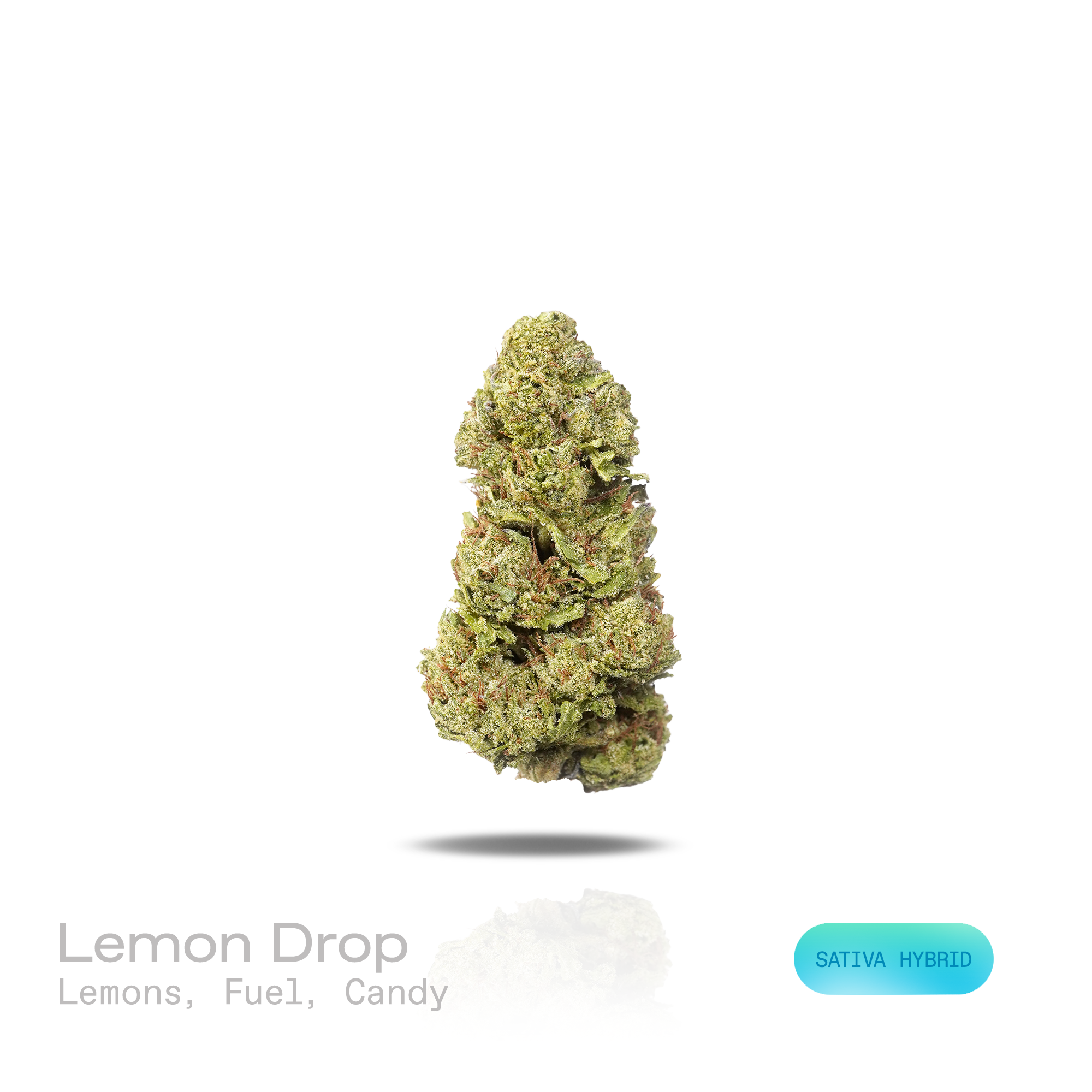 PUFFY Lemon Drop is a sativa-dominant hybrid THCa strain, emerging from the renowned pairing of Lemon Skunk and Sour Diesel. The aroma is a vibrant fusion of bright lemon zest, sharp fuel undertones, and sweet candy-like notes. Visually, dense forest green buds with purple hues and fiery orange pistils are coated in sticky trichomes. Consumers often report a euphoric, elevated mood accompanied by enhanced focus and mental clarity, as well as increased creativity and motivation. 