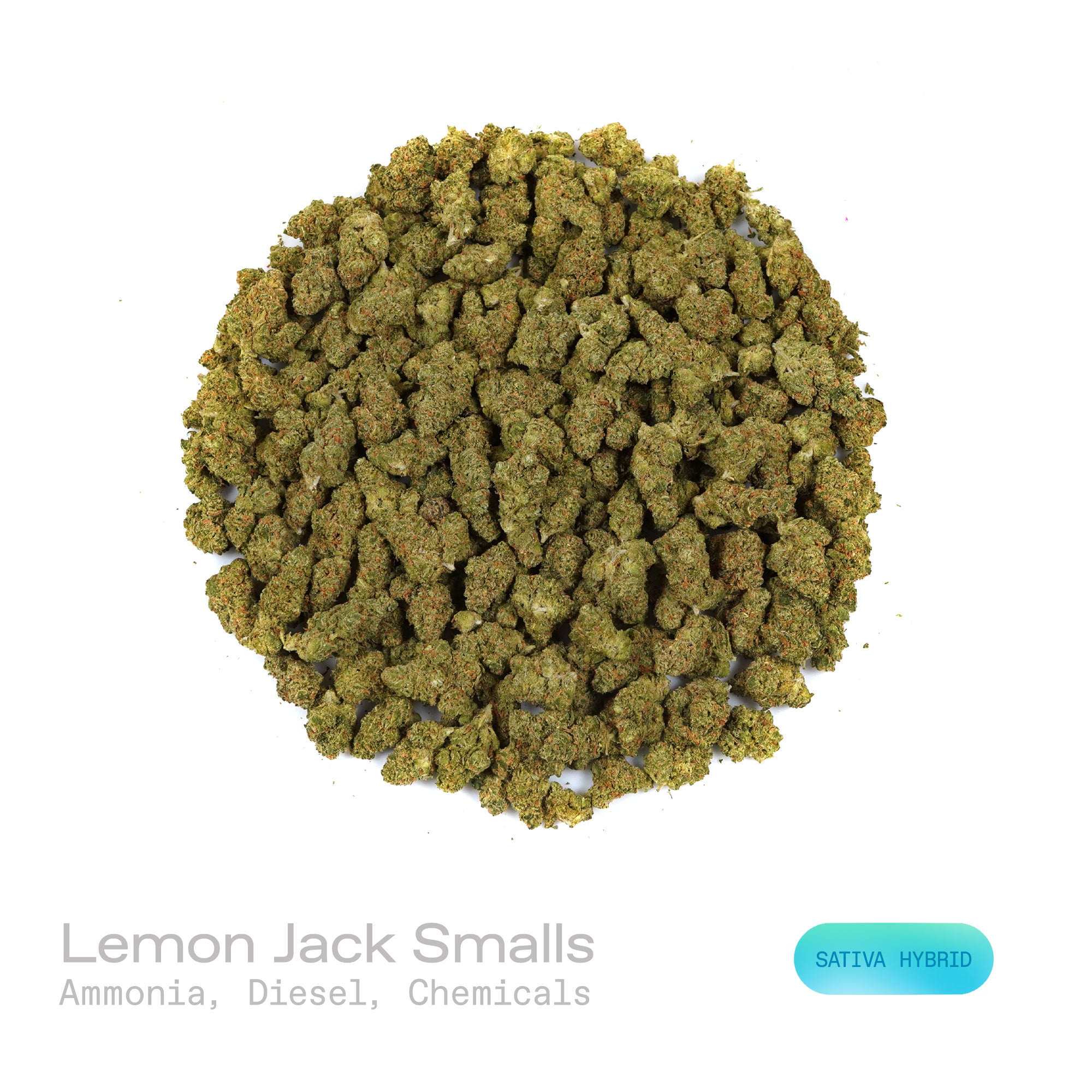PUFFY Lemon Jack (smalls) is a sativa-dominant hybrid THCa strain created through the dynamic cross of Jack Herer and  Lemon Kush. The aroma is a sharp, pungent blend of ammonia, diesel, and chemical undertones. Visually, dense green buds with purple hues and fiery orange pistils are coated in sticky trichomes. Consumers often report a clear-headed sense of inspiration, heightened creativity, and a surge of motivation that keeps both mind and body engaged.