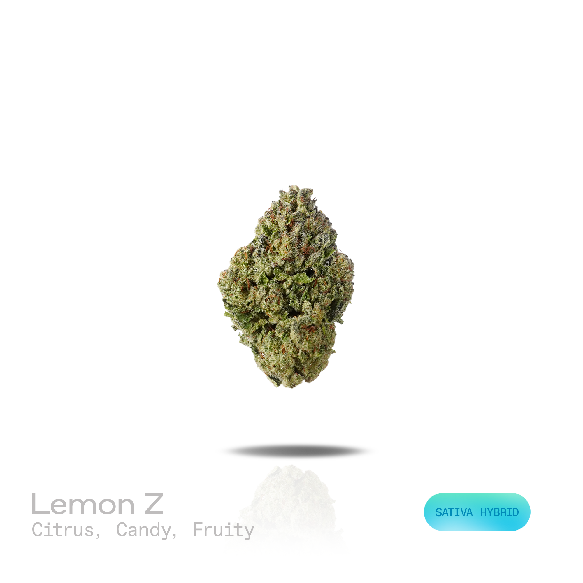 PUFFY Lemon Z is a sativa-dominant hybrid THCa strain created through the strategic blending of Las Vegas Lemon Skunk and Original Z. The aroma is bright with zesty citrus and sweet candy notes, complemented by a juicy fruity finish. Visually, dense grass green buds with purple hues and fiery orange pistils are coated in sticky trichomes. Consumers often report feeling euphoric and uplifted, with creative and energetic effects that gradually transition into a calm, relaxed state. 