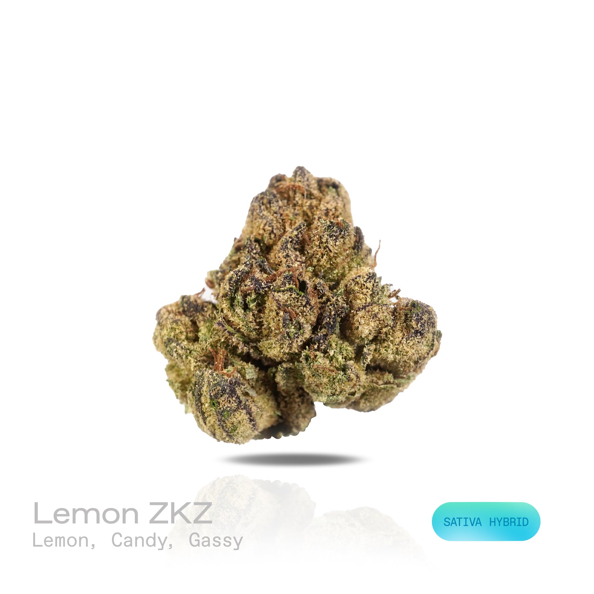 PUFFY Lemon ZKZ is a sativa-dominant hybrid THCa strain, the result of a legendary fusion between the iconic Las Vegas Lemon Skunk and ZKZ. The aroma opens with bright, zesty notes of lemon, layered with a sweet, candy-like essence, and finishes with a distinct, pungent gassy undertone. Visually, dense grass green buds with purple hues and fiery orange pistils are coated in sticky trichomes. Consumers often report an initial burst of uplifting, creative, and energizing cerebral effects, followed by feelings