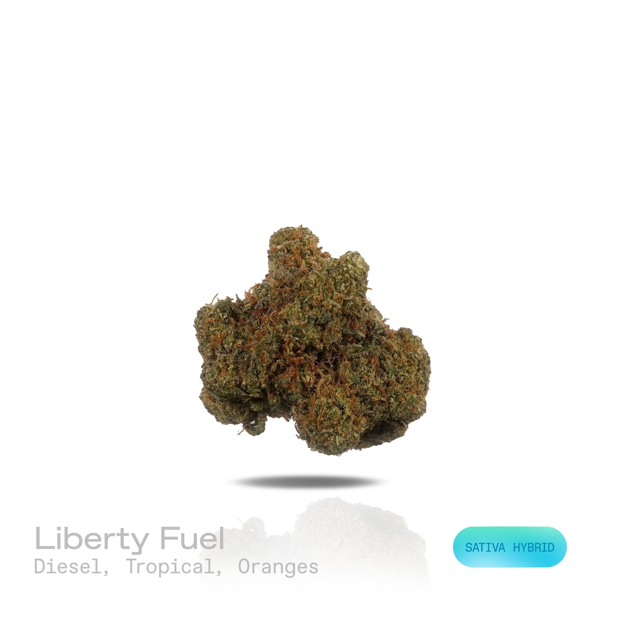 PUFFY Liberty Fuel is a sativa-dominant hybrid THCa strain, crafted from the legendary lineage of NYC Diesel and Cheese. The aroma is a bold fusion of sharp diesel notes balanced by sweet tropical accents and the bright, zesty freshness of ripe oranges. Visually, the buds are dense and frosty, showcasing striking green and deep purple tones. Consumers often report a stimulating mental high that sparks creativity and focus, paired with a soothing, calming body buzz that promotes overall relaxation.
