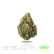 PUFFY Lilac Diesel is a balanced hybrid THCa strain, crafted from the legendary lineage of (Silver Lemon Haze × Forbidden Fruit) × (NYC Cherry Pie × Citral Glue). The aroma is a pungent blend of diesel and chemical notes, rounded out by a sharp, zesty finish. Visually, the dense buds display forest-green tones with deep purple hues, vibrant orange pistils, and a frosty trichome coating. Consumers often report feeling euphoric and uplifted, experiencing a wave of happiness and creative energy that leaves the