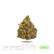 PUFFY Lilac Diesel is a balanced hybrid THCa strain, crafted from the legendary lineage of (Silver Lemon Haze × Forbidden Fruit) × (NYC Cherry Pie × Citral Glue). The aroma bursts with vibrant notes of zesty yuzu and fresh lime, layered over a sharp, chemical undertone that adds a bold, pungent edge. Visually, the dense buds display forest-green tones with deep purple hues, vibrant orange pistils, and a frosty trichome coating. Consumers often report feeling euphoric and uplifted, experiencing a wave of hap