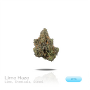 PUFFY Lime Haze is a pure sativa THCa strain crafted from the exceptional cross of Haze and Blue Lime Pie. The aroma opens with bright notes of fresh lime, layered with sharp chemical undertones and a bold diesel finish. Visually, dense forest green buds with purple hues and fiery orange pistils are coated in sticky trichomes. Consumers often report a euphoric, invigorating, and uplifting experience that enhances creativity and sharpens focus. 