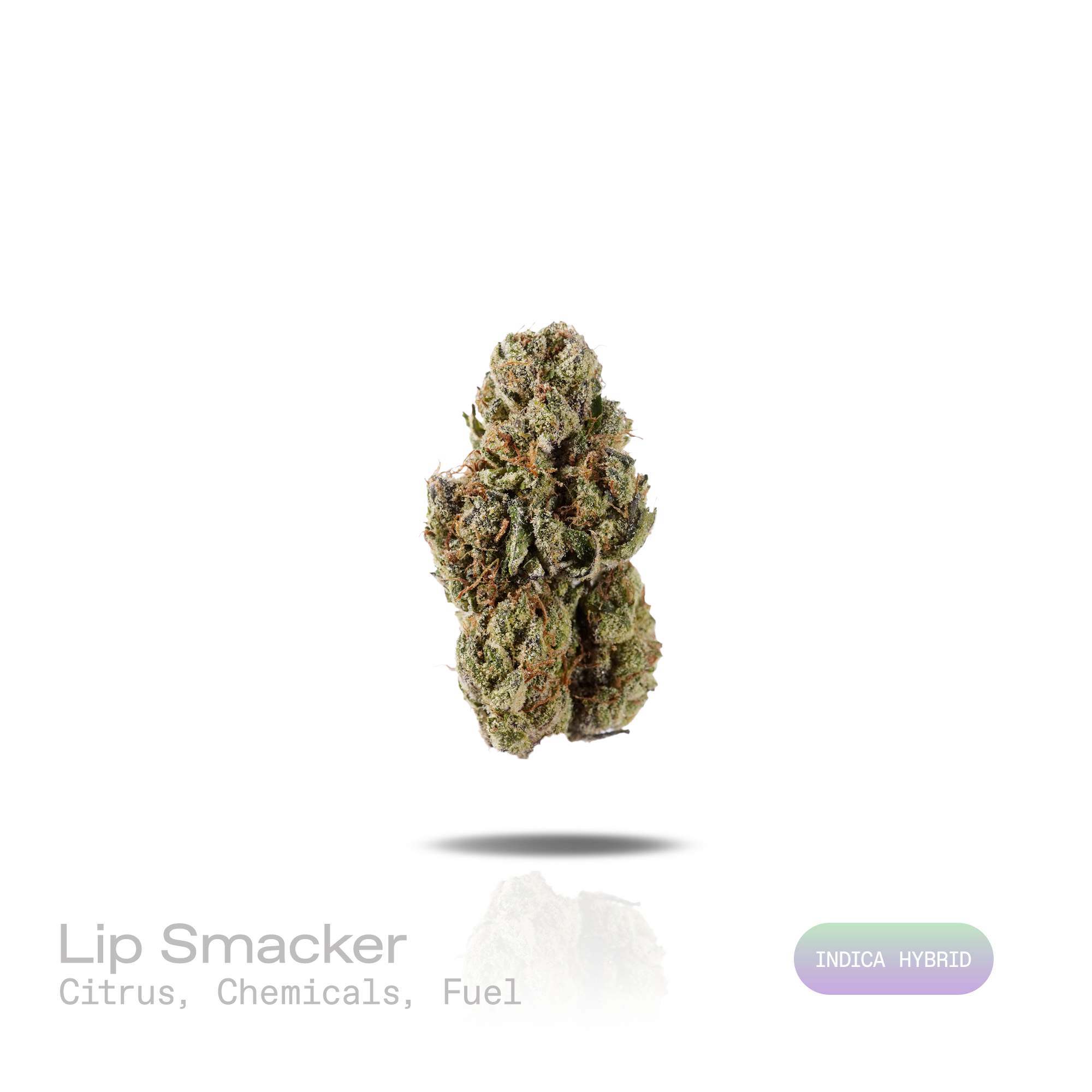 PUFFY Lip Smacker is an indica-dominant hybrid THCa strain crafted from the flavorful convergence of  Sherbert and Strawberries & Cream. The aroma opens with bright citrus notes layered over sharp chemical undertones and a bold fuel-like finish. Visually, dense forest green buds with purple hues and fiery orange pistils are coated in sticky trichomes. Consumers often report a deeply euphoric, relaxing, and calming experience that promotes a peaceful state of mind while helping them unwind after a long day. 
