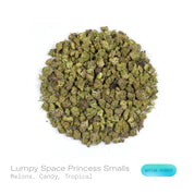 PUFFY Lumpy Space Princess (smalls) is a sativa-dominant hybrid THCa strain, expertly prepared from the flavorful blend of Black Banana and Pink Lemonade. The aroma is a vibrant blend of sweet melons, sugary candy notes, and lush tropical fruit, creating a bright and inviting scent profile. Visually, dense spring-green buds with hints of purple are threaded with fiery orange pistils and coated in a sparkling layer of sticky trichomes. Consumers often report a euphoric, uplifting, and energetic high that ins