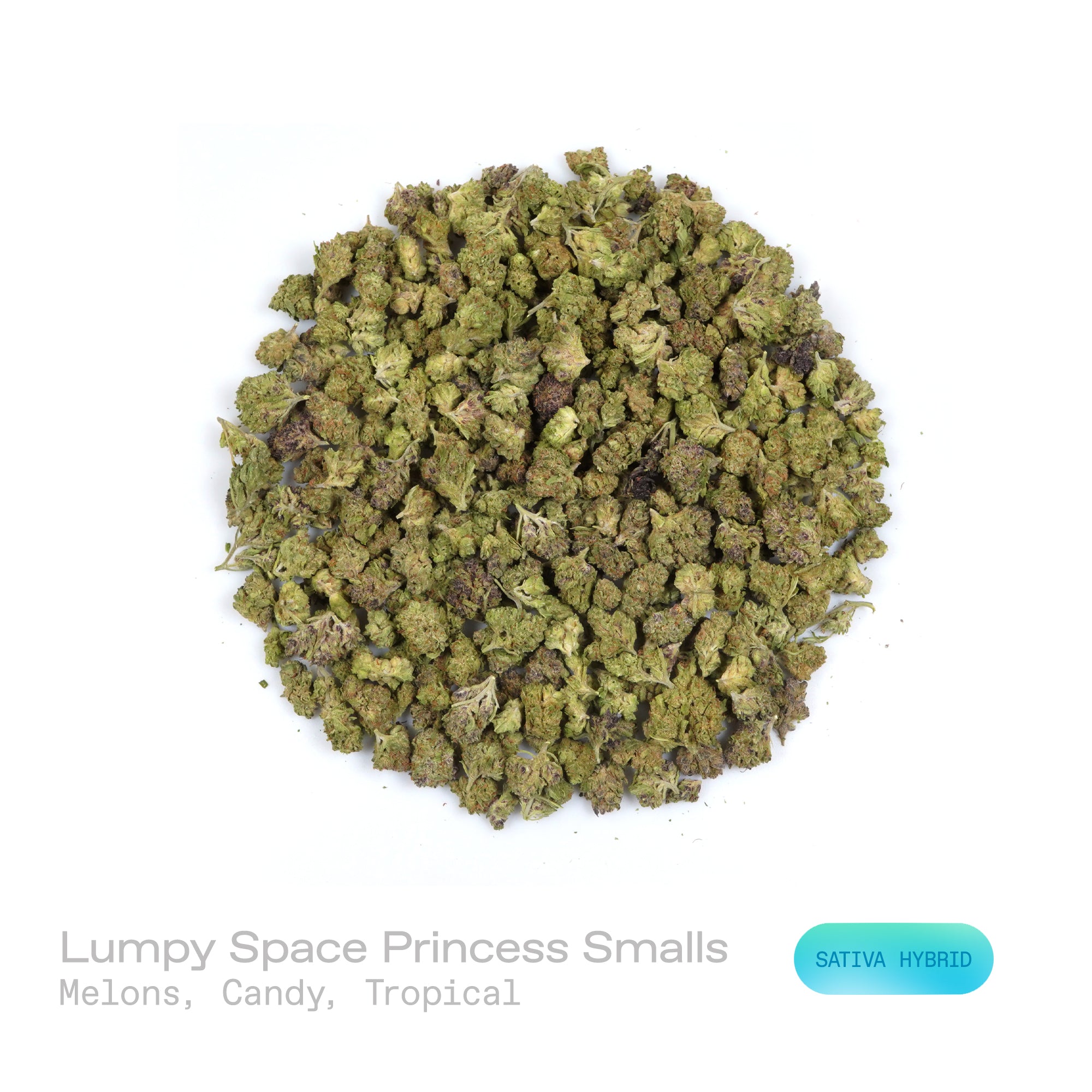 PUFFY Lumpy Space Princess (smalls) is a sativa-dominant hybrid THCa strain, expertly prepared from the flavorful blend of Black Banana and Pink Lemonade. The aroma is a vibrant blend of sweet melons, sugary candy notes, and lush tropical fruit, creating a bright and inviting scent profile. Visually, dense spring-green buds with hints of purple are threaded with fiery orange pistils and coated in a sparkling layer of sticky trichomes. Consumers often report a euphoric, uplifting, and energetic high that ins