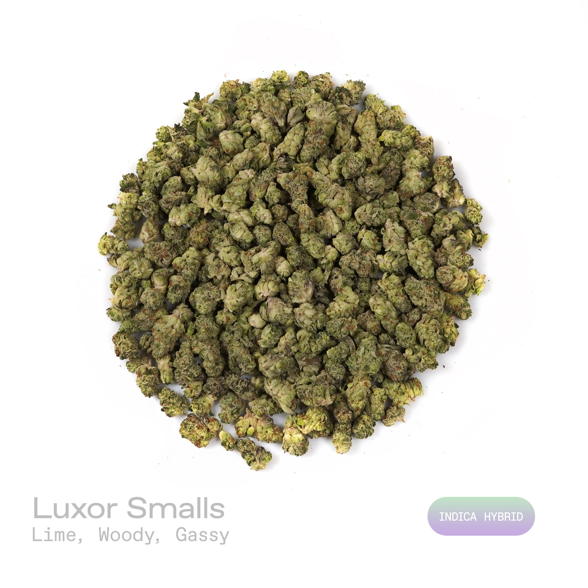 PUFFY Luxor (smalls) is an indica-dominant hybrid THCa strain, crafted from the unique union of Triangle Kush and SinMint Cookies. The aroma is a zesty burst of lime, layered with warm woody undertones and a subtle gassy note, creating a bold, energizing, and slightly earthy fragrance. Visually, dense deep green buds with purple hues and fiery orange pistils are coated in sticky trichomes. Consumers often report experiencing euphoria, an uplifted mood, heightened creativity, and a state of relaxed, focused 