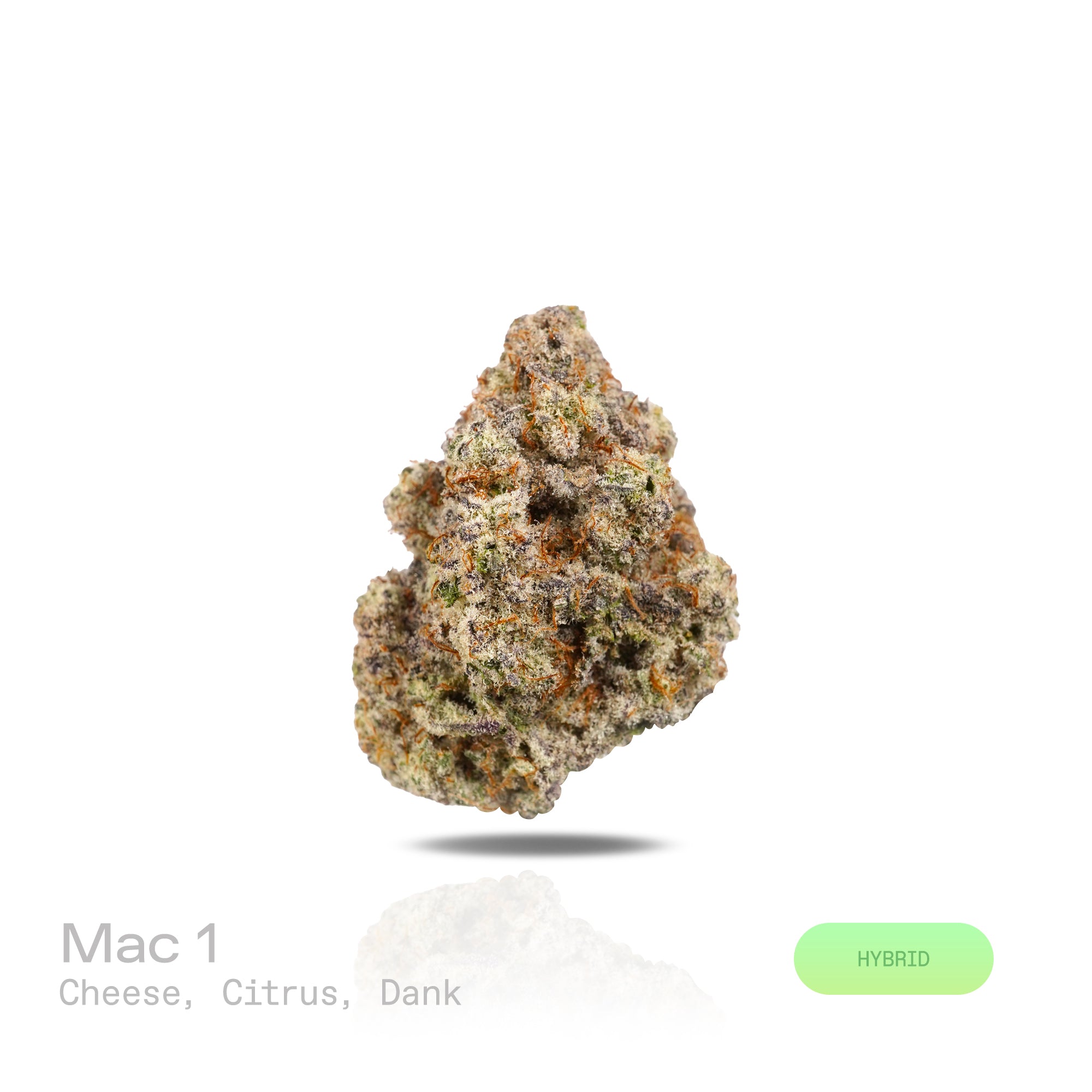 PUFFY MAC 1 (Miracle Alien Cookies) is a balanced hybrid THCa strain, from the renowned pairing of Alien Cookies F2 with a Miracle 15. The aroma is an irresistible blend of sharp cheese, zesty citrus, and earthy dank notes, creating a sensory experience that’s bold, memorable, and uniquely captivating. Visually captivating, the buds are thick and resinous, shimmering with frosty trichomes, while vibrant orange pistils thread through shades of dark green and purple. Consumers often report it delivers cerebra