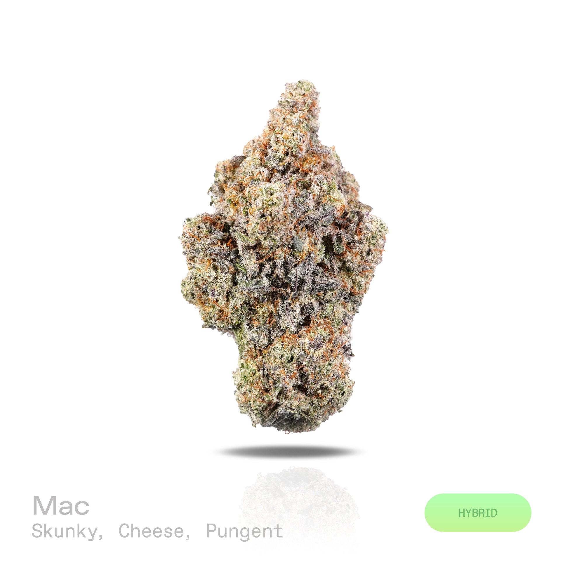 PUFFY Mac (Miracle Alien Cookies) is a balanced hybrid THCa spawned through the strategic pairing of Alien Cookies × (Colombian × Starfighter). The aroma combines skunky musk, sharp cheesy notes, and a strong, pungent scent. Visually, dense forest green buds with hints of purple are threaded with fiery orange pistils and coated in a sparkling layer of sticky trichomes. Consumers often report feelings of euphoria, an uplifted mood, relaxation, and enhanced creativity.