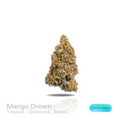 PUFFY Mango Dream is a sativa-dominant hybrid THCa strain meticulously blended from Mango and Blue Dream. The aroma blends tropical sweetness with sharp chemical notes and a bold diesel undertone. Visually, dense spring green buds with purple hues and fiery orange pistils are coated in sticky trichomes. Consumers often report euphoric effects accompanied by clear-headed focus, boosted energy, creative thinking, social confidence, talkative moods, and strong motivation.