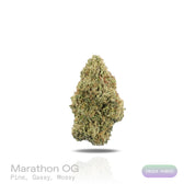 PUFFY Marathon OG is a potent indica-dominant hybrid THCa strain, crafted from the legendary OG Kush lineage, which includes either Chemdawg, Lemon Thai, or Hindu Kush. The aroma is a bold and earthy blend of fresh pine, pungent gassy notes, and subtle mossy undertones. Visually, dense forest green buds with purple hues and fiery orange pistils are coated in sticky trichomes. Consumers often report a balance of euphoria and relaxation, heightened focus, and a pleasant boost in appetite.
