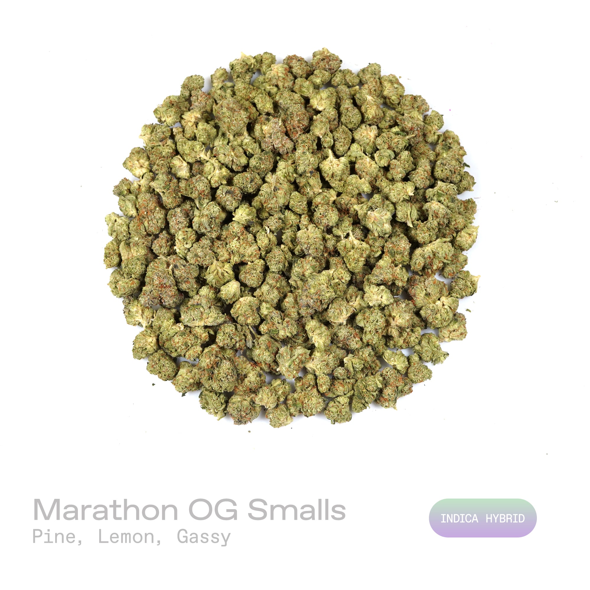 PUFFY Marathon OG (smalls) is a potent indica-dominant hybrid THCa strain, crafted from the legendary OG Kush lineage, which includes either Chemdawg, Lemon Thai, or Hindu Kush. The aroma is pine-forward, layered with bright lemon zest and a bold gassy undertone. Visually, dense forest green buds with purple hues and fiery orange pistils are coated in sticky trichomes. Consumers often report a balance of euphoria and relaxation, heightened focus, and a pleasant boost in appetite. 
