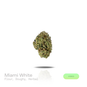 PUFFY Miami White is a balanced hybrid THCa strain rooted in the exceptional lineage of Miami Haze and The White.  The aroma opens with fresh flour-like notes, layered with rich, doughy undertones that gradually settle into a clean, earthy herbal finish. Visually, dense forest green buds with purple hues and fiery orange pistils are coated in sticky trichomes. Consumers often report an uplifting sense of euphoria paired with an elevated mood, enhanced mental clarity, creative focus, and a calming sense of p