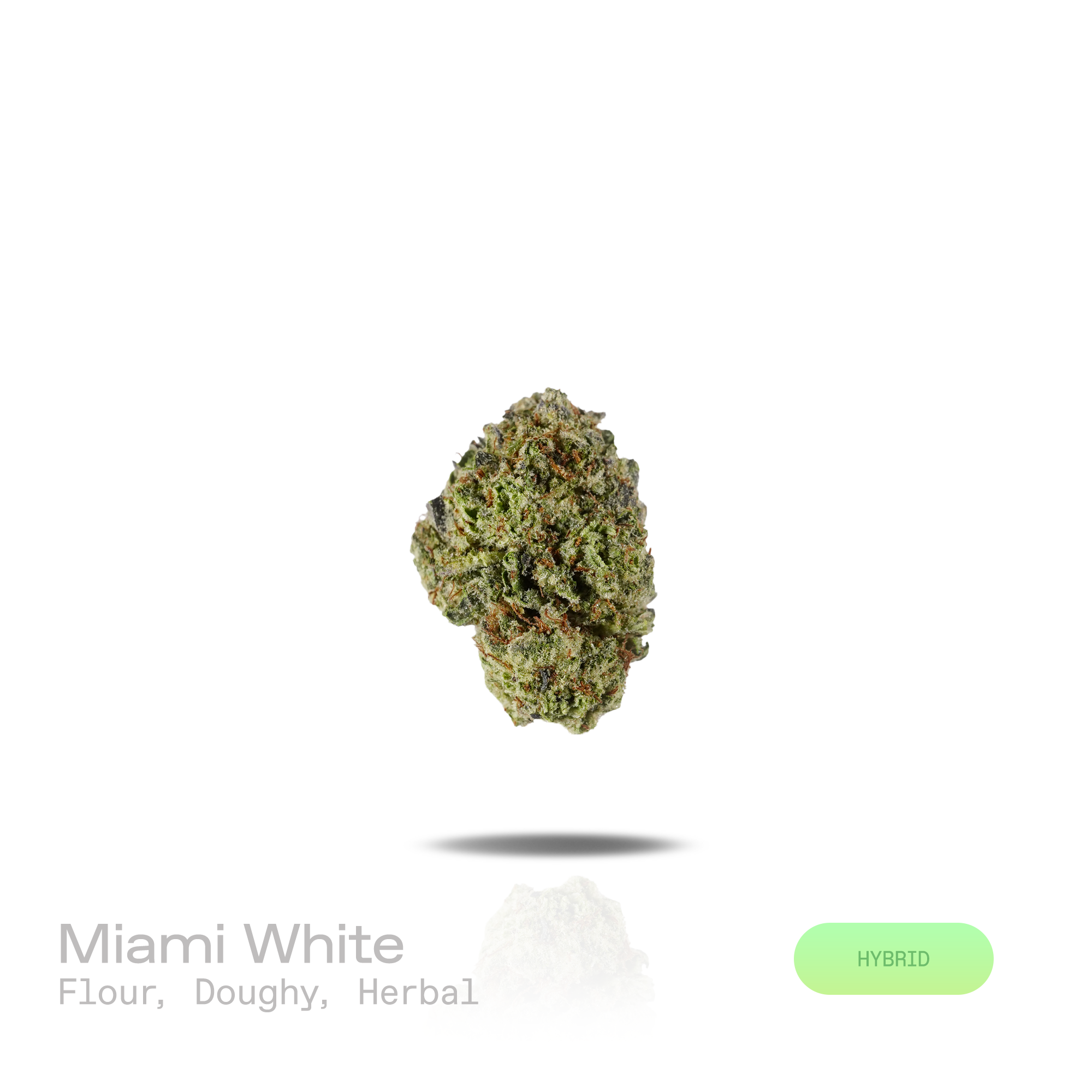 PUFFY Miami White is a balanced hybrid THCa strain rooted in the exceptional lineage of Miami Haze and The White.  The aroma opens with fresh flour-like notes, layered with rich, doughy undertones that gradually settle into a clean, earthy herbal finish. Visually, dense forest green buds with purple hues and fiery orange pistils are coated in sticky trichomes. Consumers often report an uplifting sense of euphoria paired with an elevated mood, enhanced mental clarity, creative focus, and a calming sense of p
