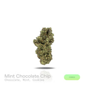 PUFFY Mint Chocolate Chip is a balanced hybrid THCa strain created through the masterful blending of  SinMint Cookies and Green Ribbon. The aroma unfolds with rich notes of chocolate and refreshing mint, finishing with the sweet, comforting essence of Cookies. Visually, dense deep forest green buds with purple hues and fiery orange pistils are coated in sticky trichomes. Consumers often report feeling euphoric and uplifted, while also experiencing a relaxed yet creative and focused state of mind. 