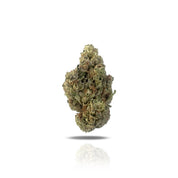 PUFFY Mochi THCa was originally created by legendary breeders, Sherbinskis. This well-balanced hybrid offers a soothing blend of relaxation and euphoria, making it suitable for a variety of activities at any time of day. Bred from the flavorful Thin Mint GSC and Sunset Sherbet, it provides a mellow body high along with a gentle mental uplift. Displays a spectrum of green with light green overtones, fuzzy orange pistils, and a dusting of chunky crystal trichomes. Mochi commonly has a spade shape with. This h