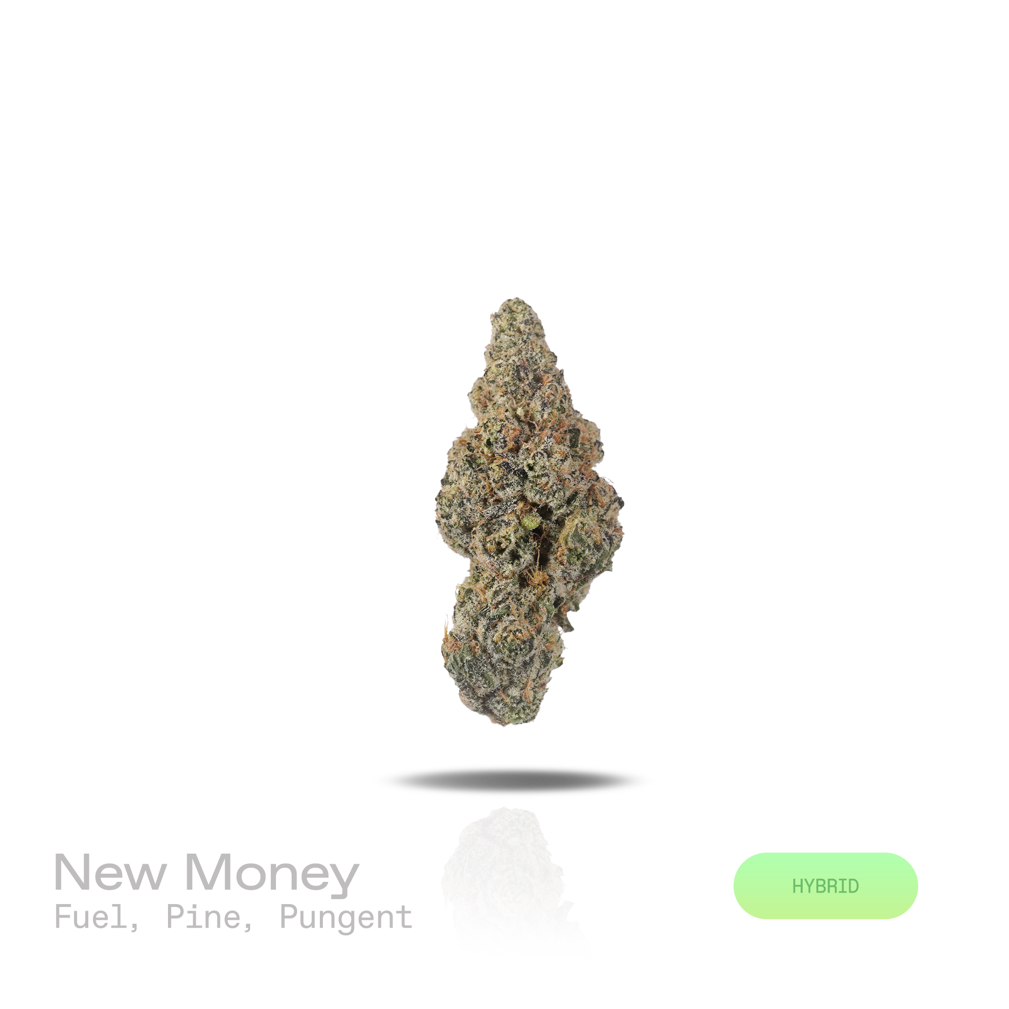 PUFFY New Money is a balanced hybrid THCa strain, born from the strategic blending of Black Amber and Eye Candy. The aroma is a bold blend of sharp fuel-like intensity layered with crisp pine notes and a deeply pungent, earthy undertone. Visually, dense forest green buds with purple hues and fiery orange pistils are coated in sticky trichomes. Consumers often report an initial euphoric onset accompanied by increased focus and a creativity boost, followed by a smooth transition into deep relaxation and a cal