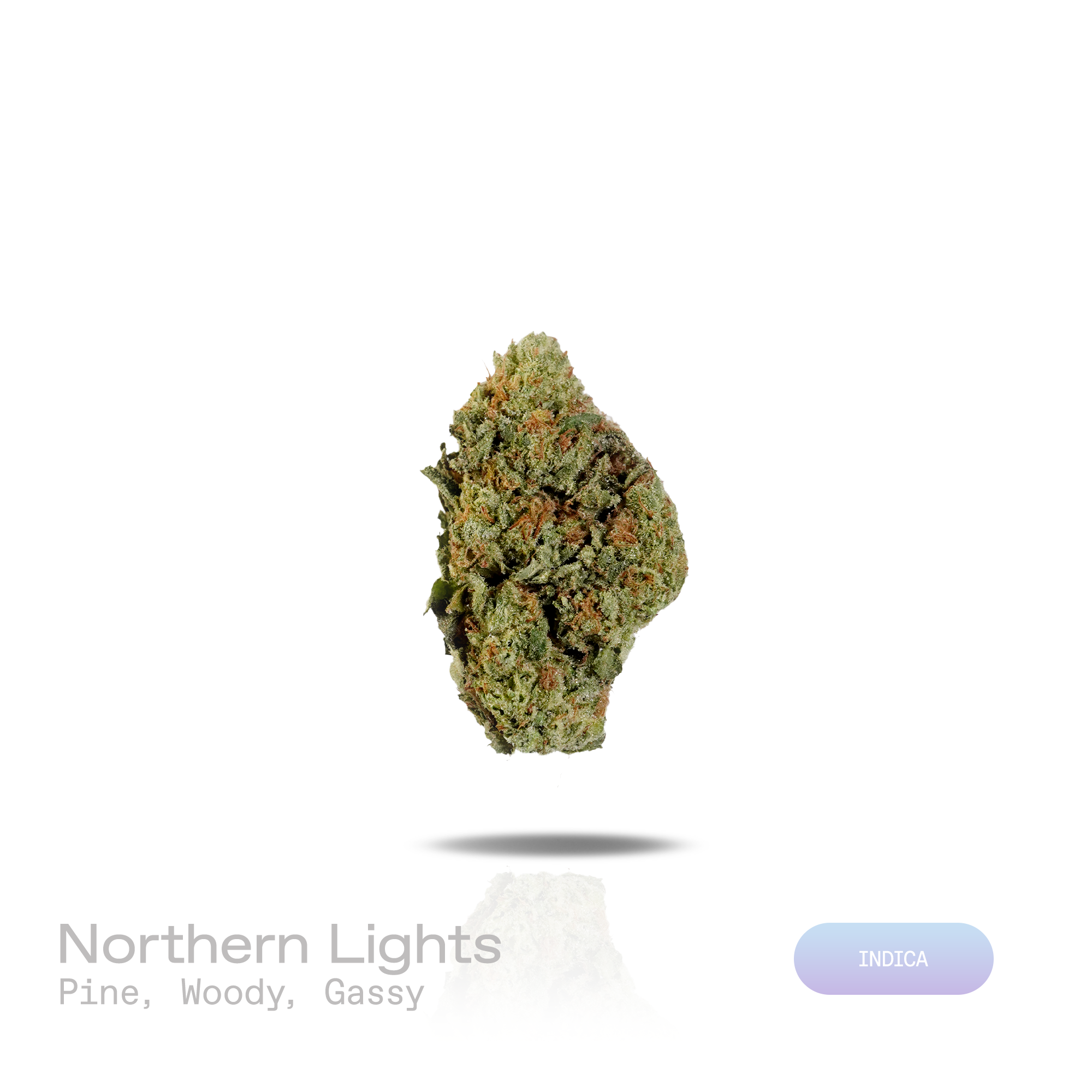 PUFFY Northern Lights is a pure indica THCa strain rooted in the exceptional lineage of Afghani indica and Thai sativa. The aroma opens with sharp pine, unfolds into deep woody undertones, and finishes with a bold gassy edge. Visually, dense deep forest green buds with purple hues and fiery orange pistils are coated in sticky trichomes. Consumers often report an euphoric uplift accompanied by deep body relaxation, a calm mental state, and a significant easing of stress. 