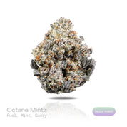 PUFFY Octane Mintz is an indica-dominant hybrid THCa strain resulting from a unique blend of Sunset Octane and Wedding Cake. The aroma features a pungent fuel-like scent complemented by refreshing mint notes and a distinct gassy undertone. Visually, dense forest green buds with purple hues and fiery orange pistils are coated in sticky trichomes. Consumers often report feeling euphoric and uplifted, followed by a deep sense of relaxation and calm that leaves them feeling at ease and content.