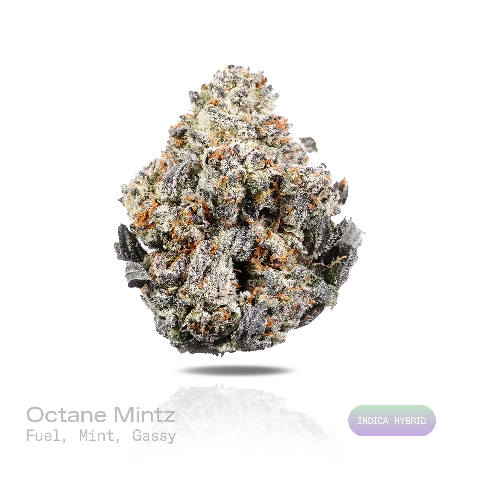 PUFFY Octane Mintz is an indica-dominant hybrid THCa strain resulting from a unique blend of Sunset Octane and Wedding Cake. The aroma features a pungent fuel-like scent complemented by refreshing mint notes and a distinct gassy undertone. Visually, dense forest green buds with purple hues and fiery orange pistils are coated in sticky trichomes. Consumers often report feeling euphoric and uplifted, followed by a deep sense of relaxation and calm that leaves them feeling at ease and content.
