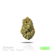 Octane THCa Flower (Premium Indoor) (Hybrid)