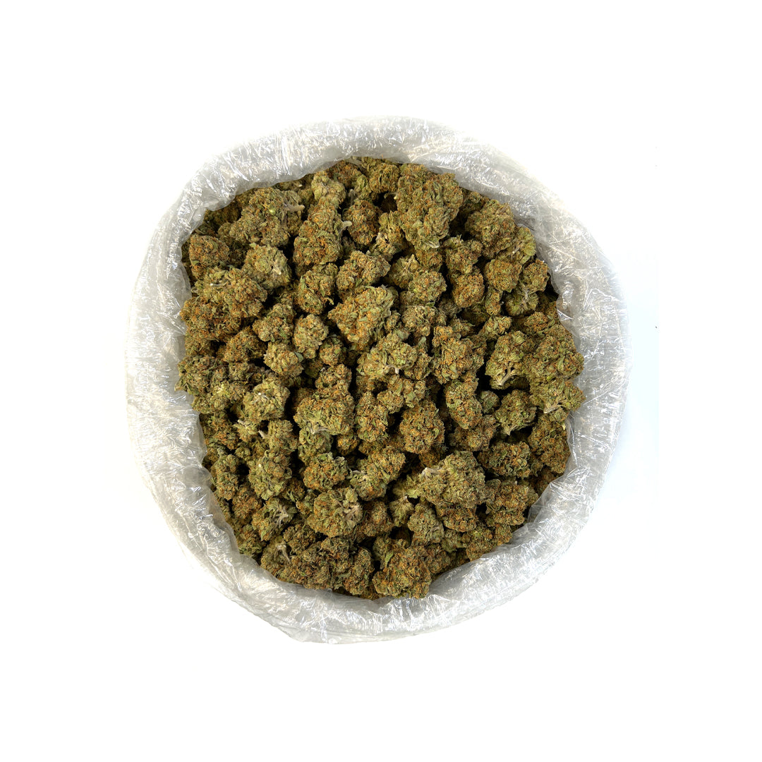 Orange Crush THCa Flower (Indoor) (Sativa)
