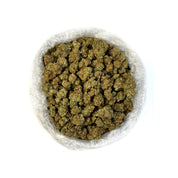 Orange Crush THCa Flower (Indoor) (Sativa)