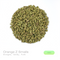 Orange Z THCa Flower (Indoor) (Hybrid)